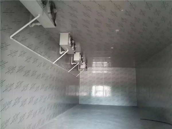 保險(xiǎn)冷庫(kù)工程解決方案